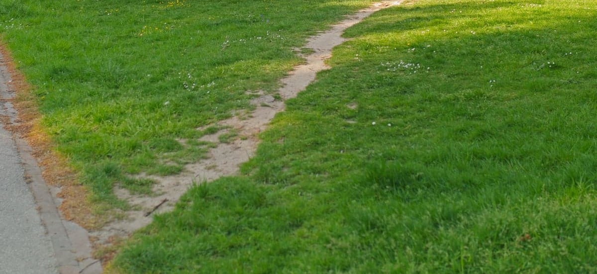 Desire paths are a shortcut to a destination but can be applied
    more broadly to any signs or traces of user activity with an object or
    environment. The implicit claim of desire paths is that they are an
    indication of how an object or environment is actually used by people.